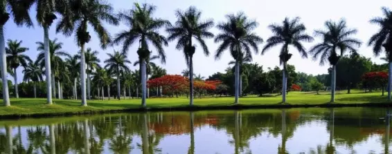 Campo de Golf San Gaspar